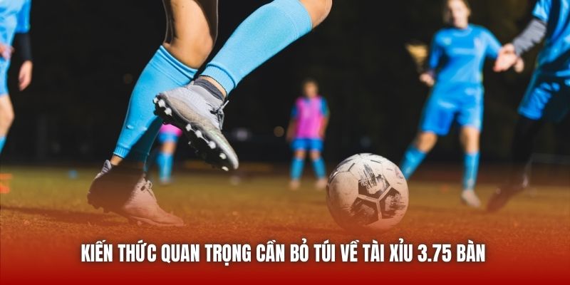 Kiến thức quan trọng cần bỏ túi về Tài Xỉu 3.75 bàn