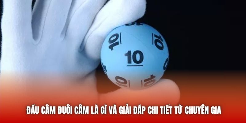 Đầu câm đuôi câm là gì và giải đáp chi tiết từ chuyên gia