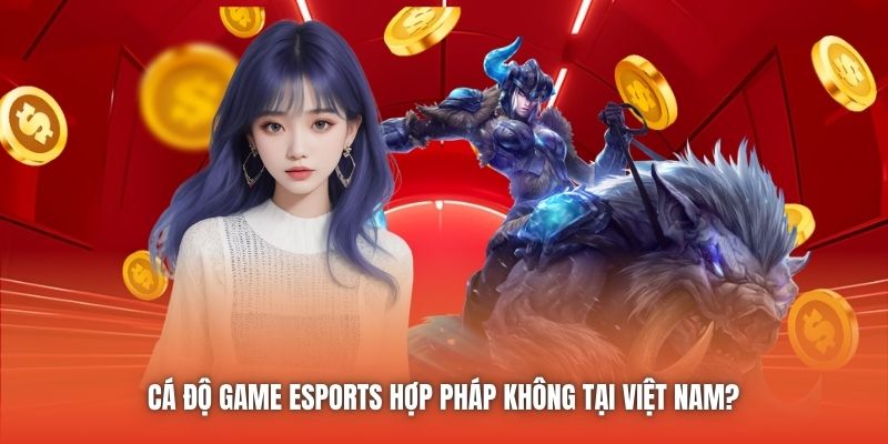 Cá Độ Game Esports Hợp Pháp Không Tại Việt Nam?