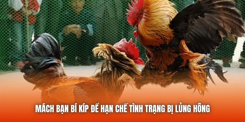 Mách bạn bí kíp để hạn chế tình trạng bị lủng hông