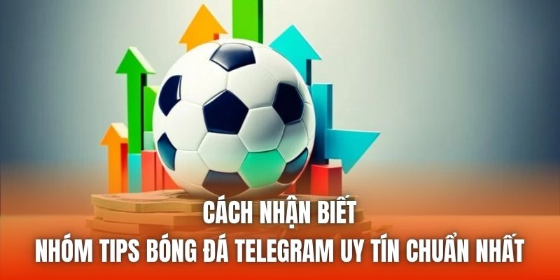 Cách Nhận Biết Nhóm Tips Bóng Đá Telegram Uy Tín Chuẩn Nhất