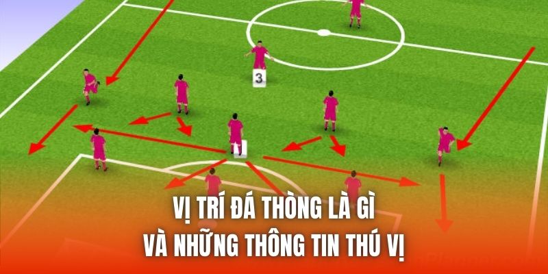 Vị Trí Đá Thòng Là Gì Và Những Thông Tin Thú Vị