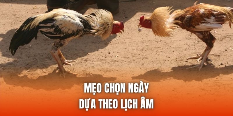 Mẹo chọn ngày dựa theo lịch âm